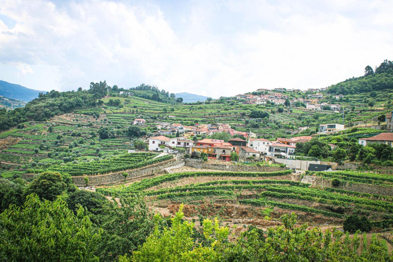 Casa Avos D'Ouro - Barqueiros, Mesao Frio, Douro Villa Eksteriør bilde